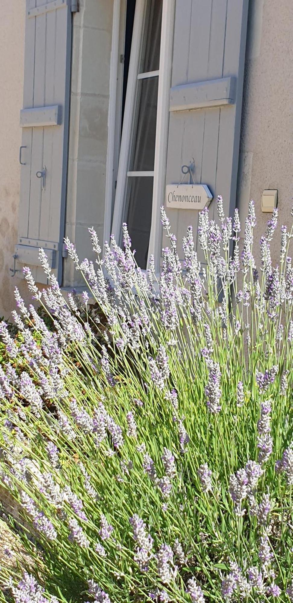 Le Clos De La Rousseliere Francueil Pokoj fotografie